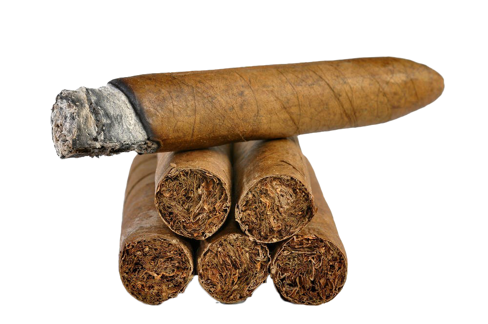Cigars with transparent background.
